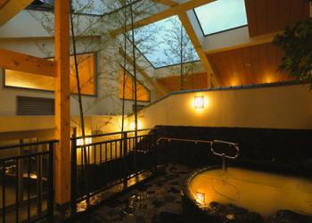 武蔵小山温泉　清水湯