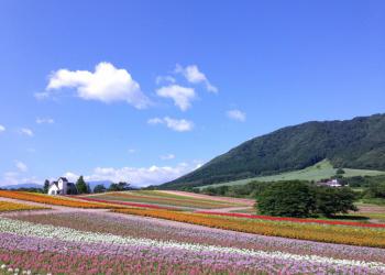 やくらいガーデン