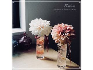 Bellsia