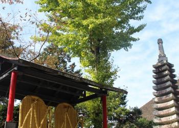 子ノ権現天龍寺