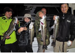 マリンティーデザイン