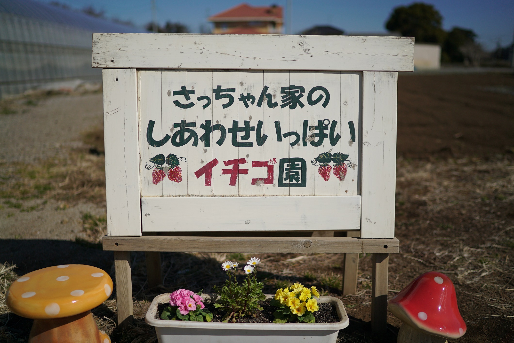 さっちゃん家の幸せいっぱいいちご園