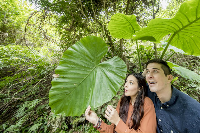 ガンガラーの谷