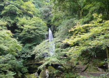 天狗高原自然休養林