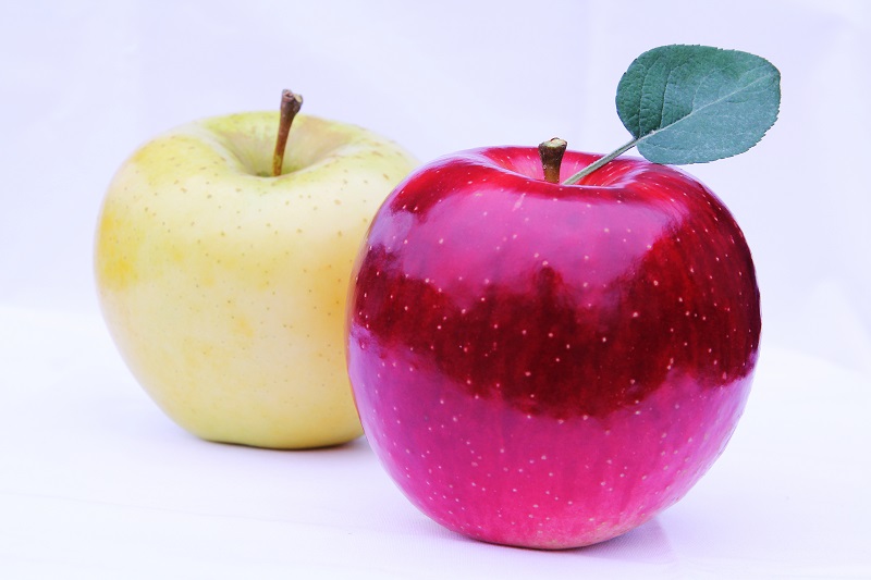 観光農園フルーツランドふのの写真1