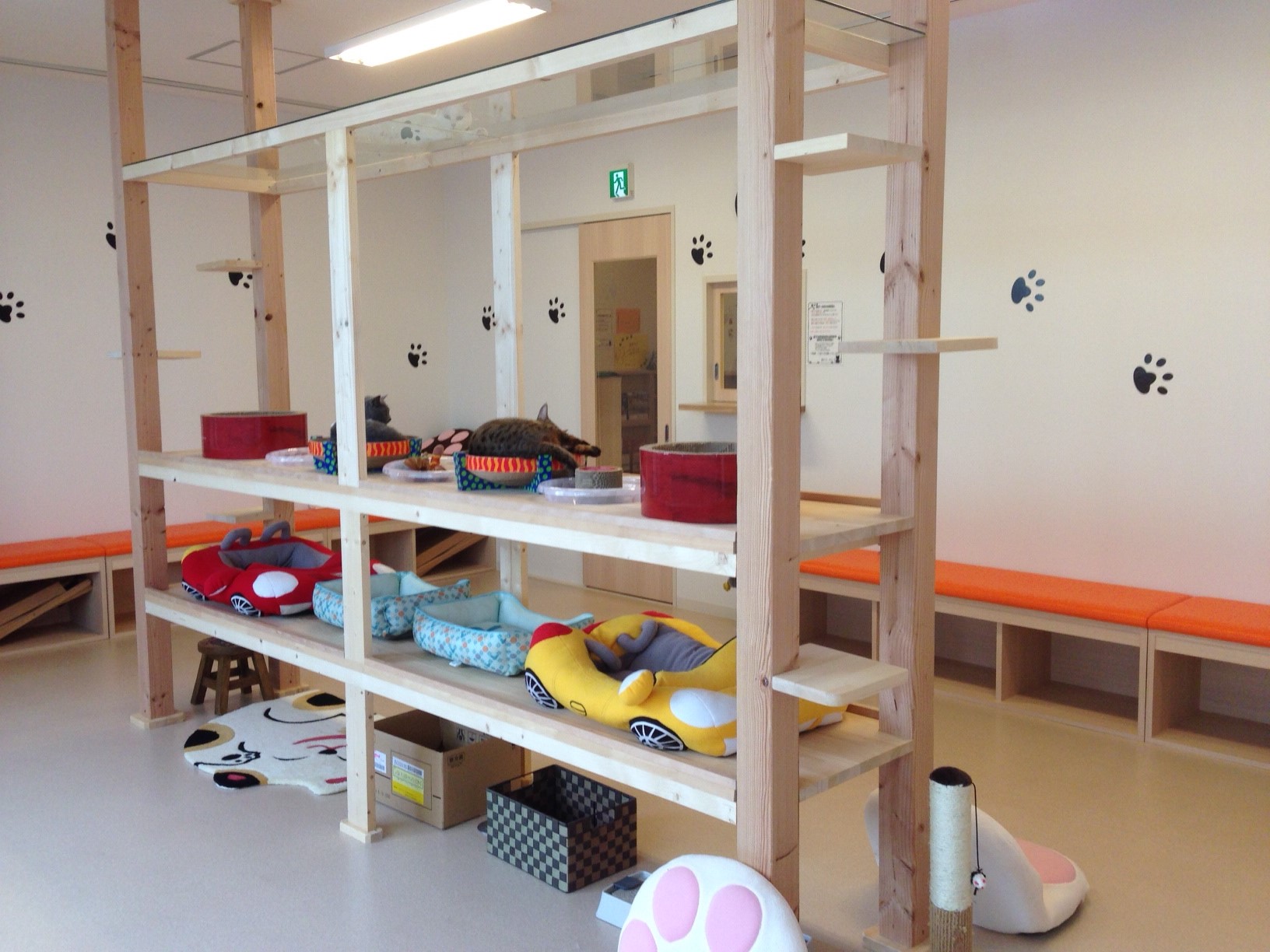 猫カフェ　バロン