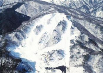 ホワイトバレー松原