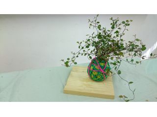 世界観のある花屋　miji華bana