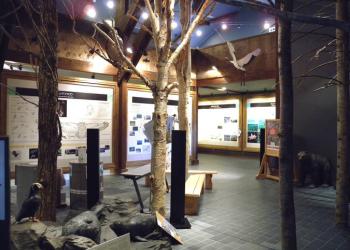 釧路湿原野生生物保護センター