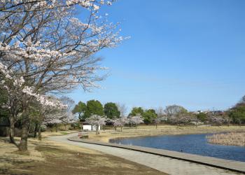 旭川市21世紀の森ファミリーゾーンキャンプ