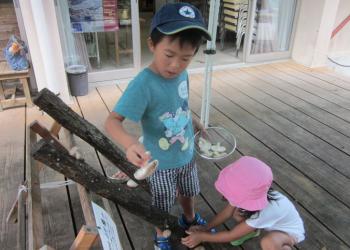 てんてんゴーしぶ川