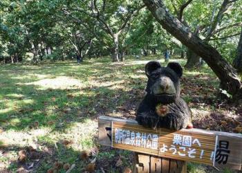 別所温泉森林公園