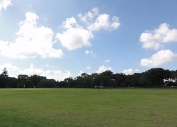 都立武蔵野中央公園