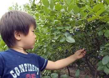 長和町グリーン・ツーリズム協議会