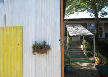 ミカノハラ陶工舎