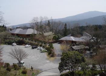 県立21世紀の森