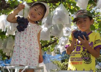 塚原山フルーツ農場