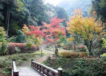 大滝川森林公園