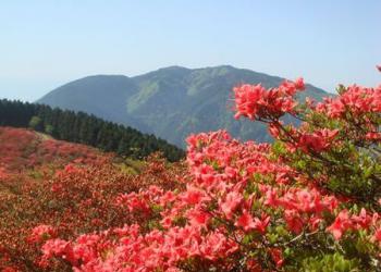 国民宿舎 葛城高原ロッジ