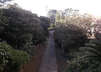 立花大正民家園