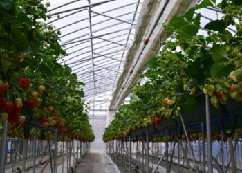 あわら農楽ファーム 農楽里