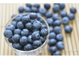 フレッシュベリーファーム・ブルーベリー