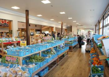 道の駅　やよいの写真1