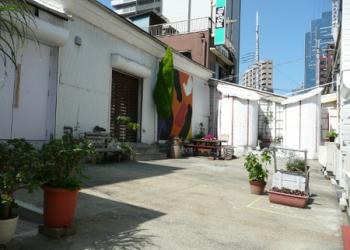 イロリムラの写真1