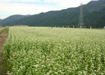 農村体験施設 にわか工房の写真1