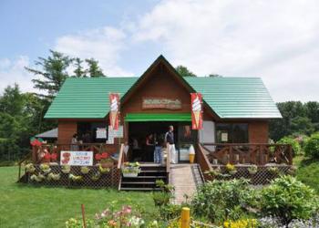 谷観光農場の写真1