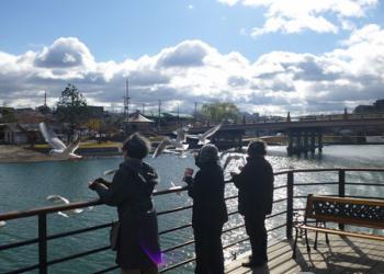 瀬田川・琵琶湖リバークルーズの写真1