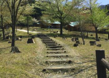 古処山キャンプ村の写真1