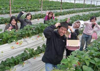 里の駅広川くだもの村の写真1