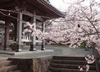 沖浦観音の写真1