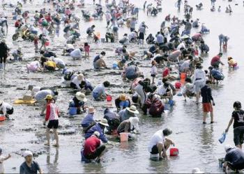 衣崎海岸 潮干狩り場の写真1