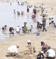 佐久島大浦海岸 潮干狩り場の写真1