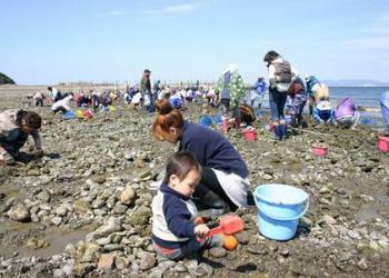 渥美半島 伊川津 潮干狩り場の写真1