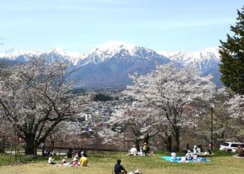 大町公園の写真1