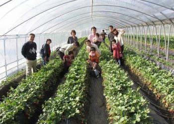 大竹農園の写真1