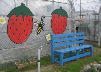 小杉豊農園の写真1