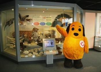 東京税関情報ひろばの写真1