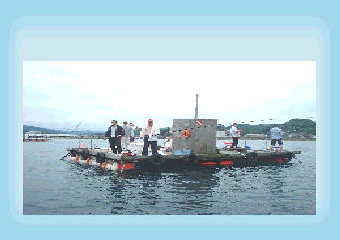 輪島崎釣イカダ組合の写真1