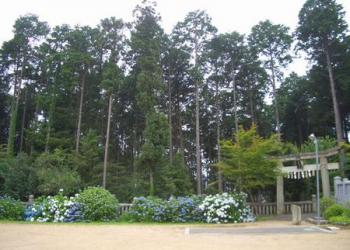相生若狭野天満神社の写真1