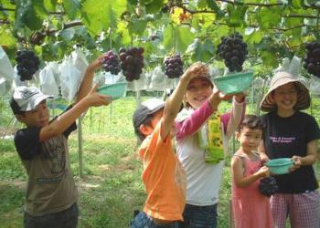 観光農園柴久園の写真1