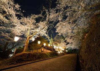 花筐公園の写真1