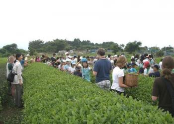 日本平お茶会館の写真1