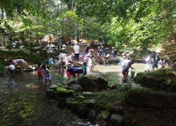 静岡県県民の森の写真1