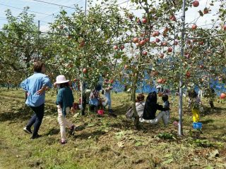 赤来高原観光りんご、ブルーベリー園の写真1