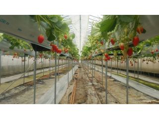 アグリみとの写真1