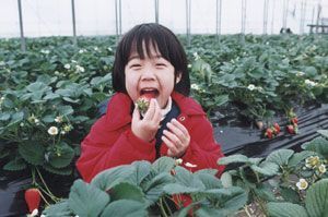 田村農園の写真1